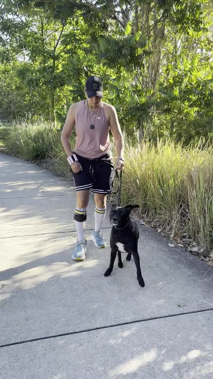 A person walking a dog along a leafy path